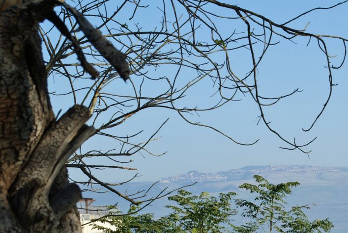 Safed näkyy taustalla yli 800 m korkeudessa.